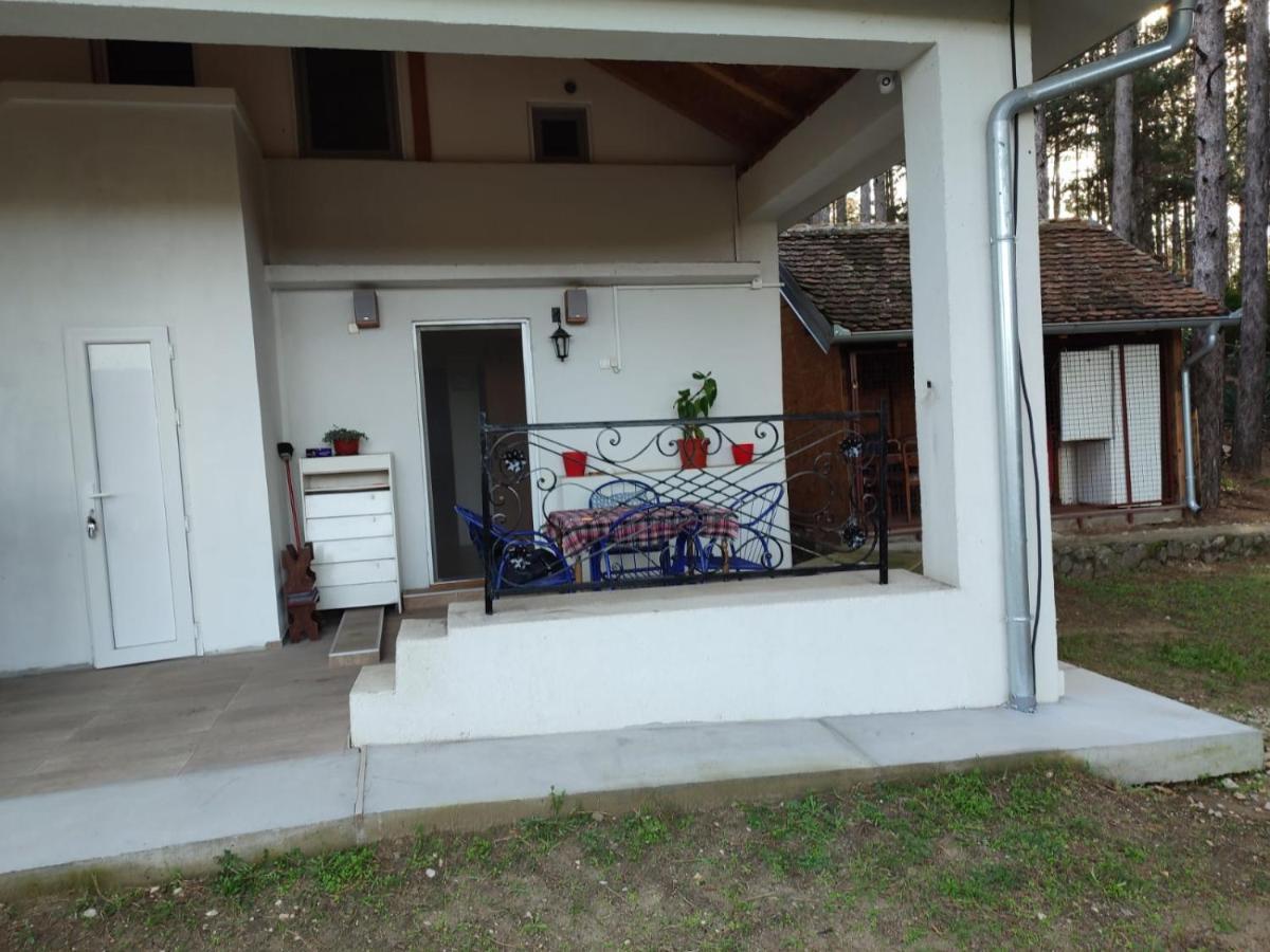 Kuca Za Odmor "Crni Bor" Apartment Golubac Exterior photo