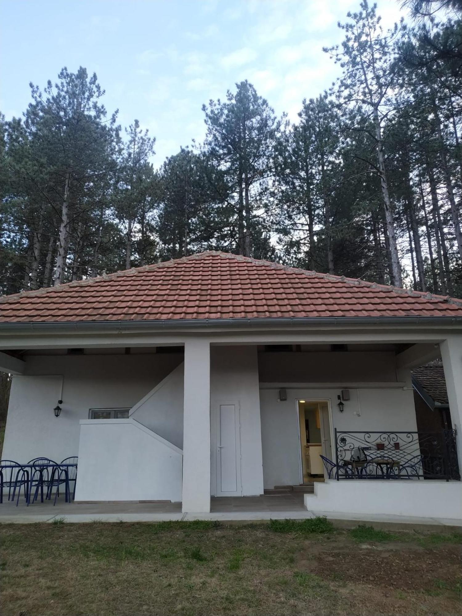 Kuca Za Odmor "Crni Bor" Apartment Golubac Exterior photo
